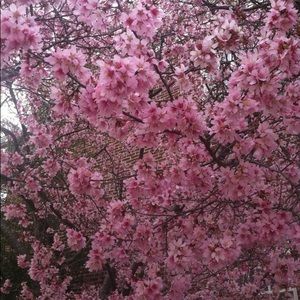 Meet your Posher, Sonja